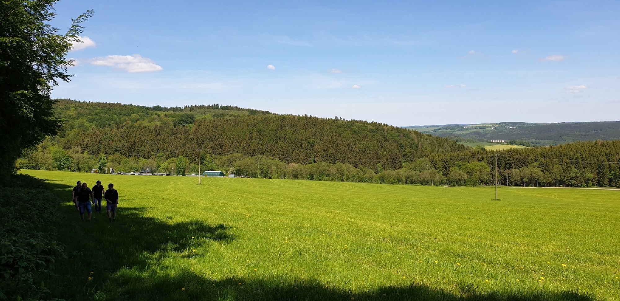 Wald und Wiesen von Grundau