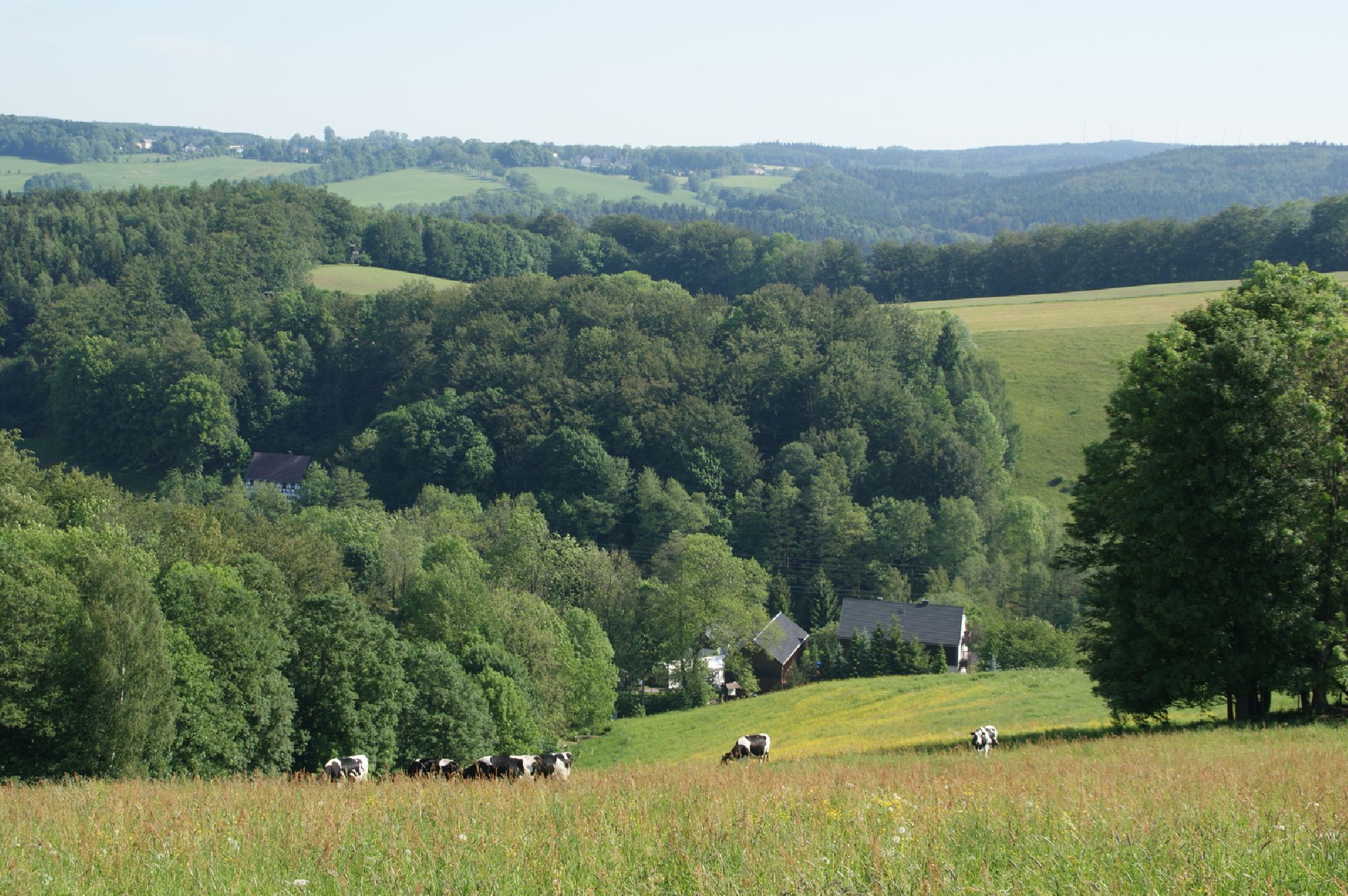 Landschaft von Sorgau