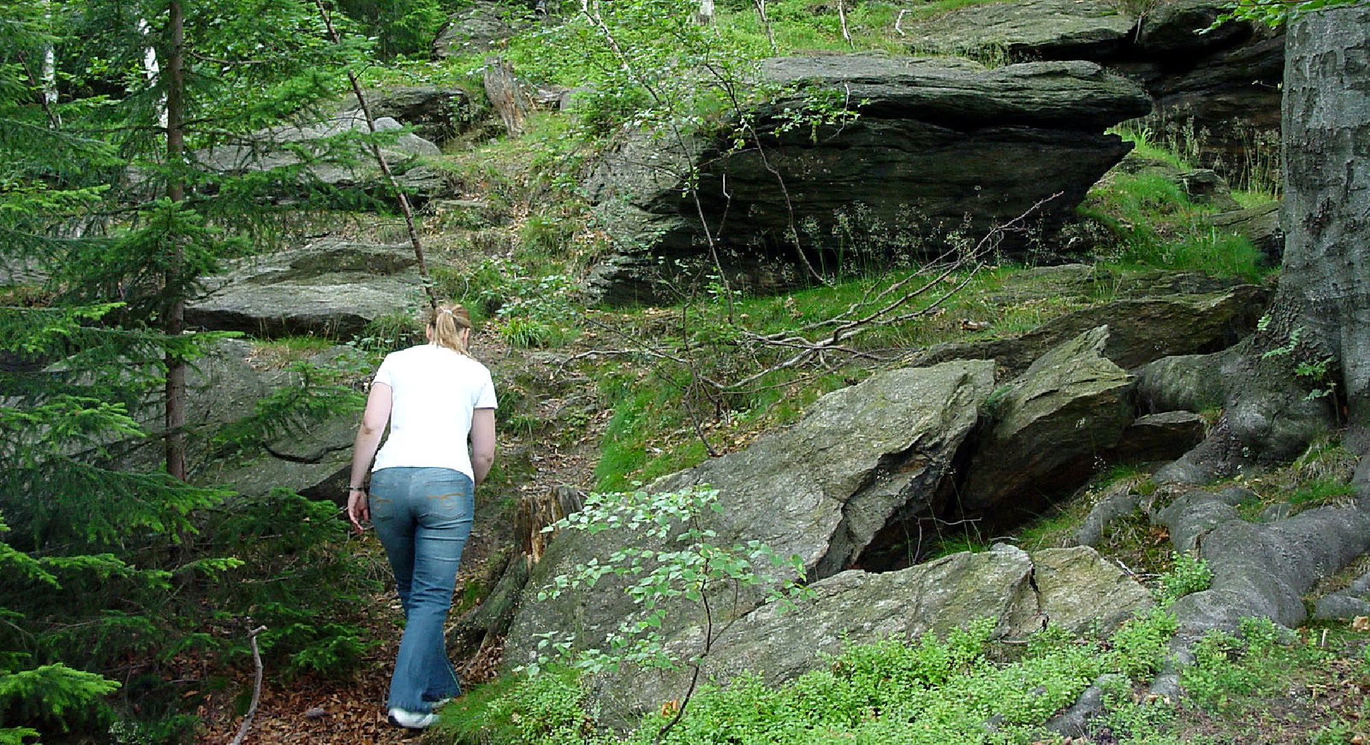Wanderung durch das Schwarzwassertal