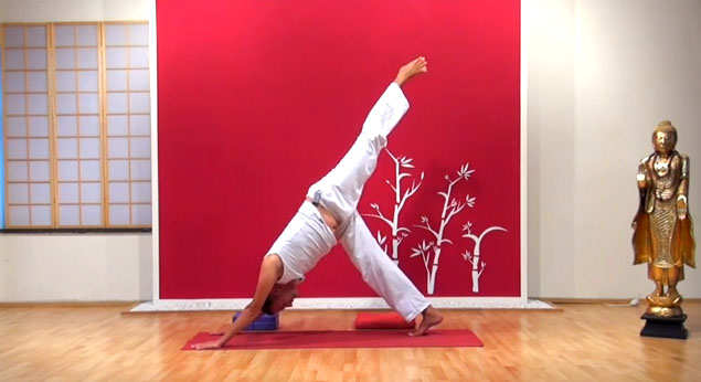 Yoga für Anfänger