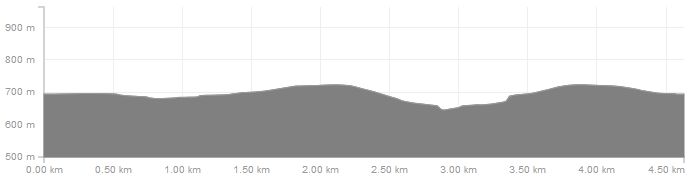 Höhenverlauf Loipe Pobershau